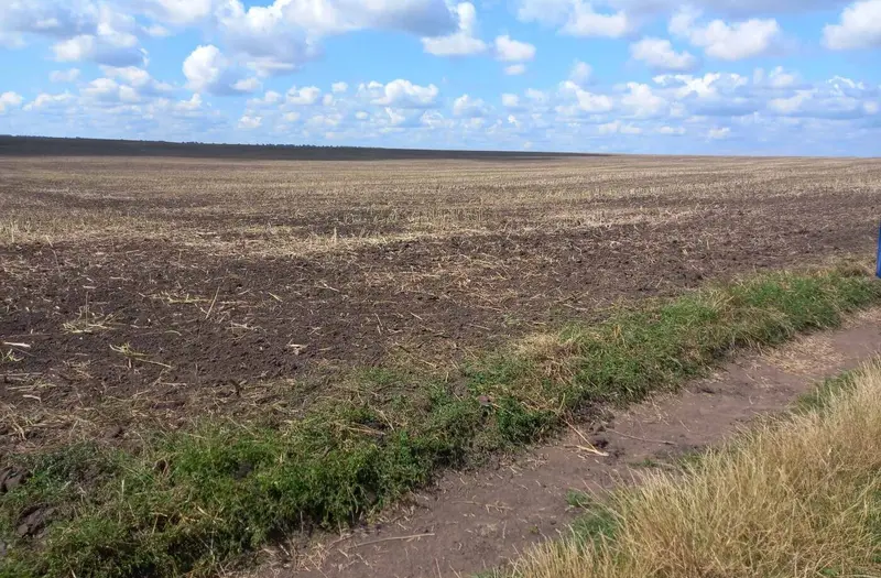 С/Х — лот №1265884