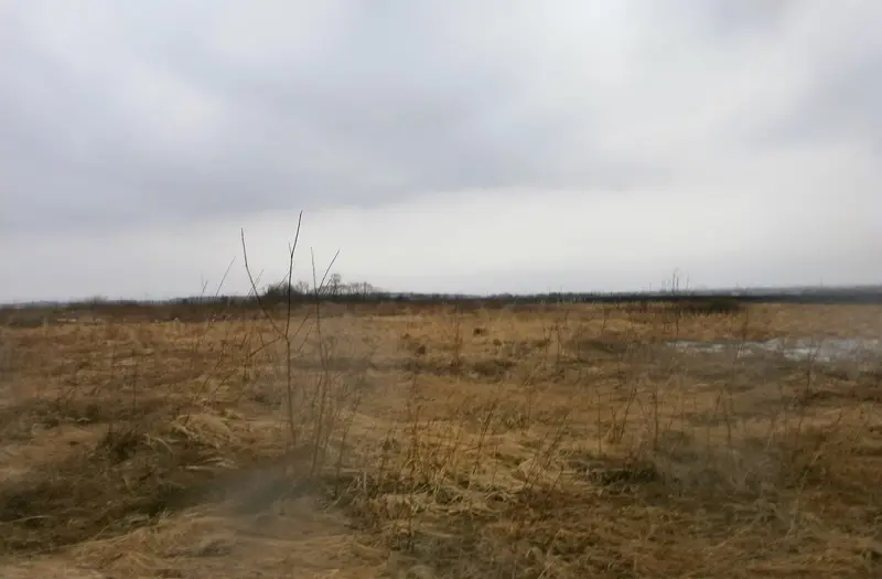Пром — лот №1265901