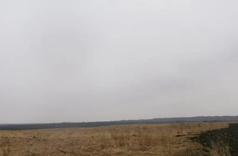Пром — лот №1265905