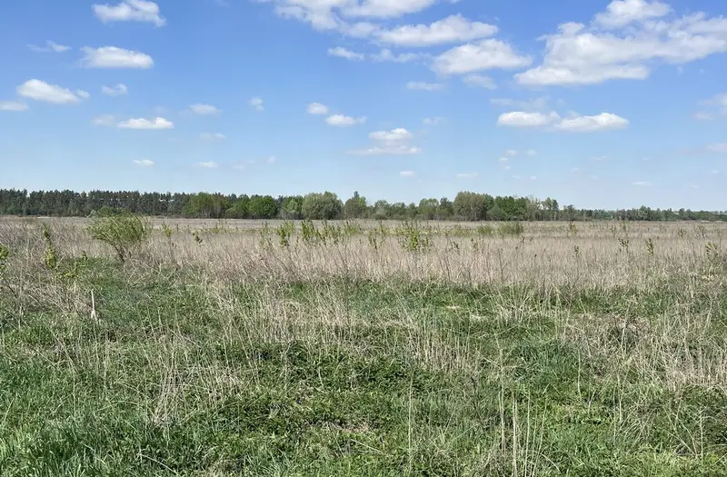 С/Х — лот №1265936