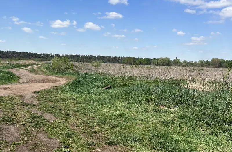 С/Х — лот №1265939