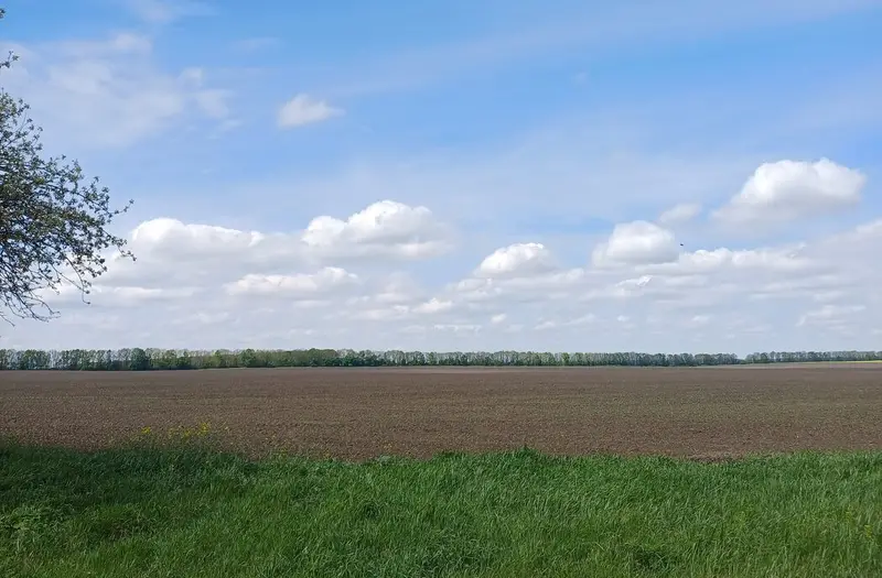 С/Х — лот №1266306