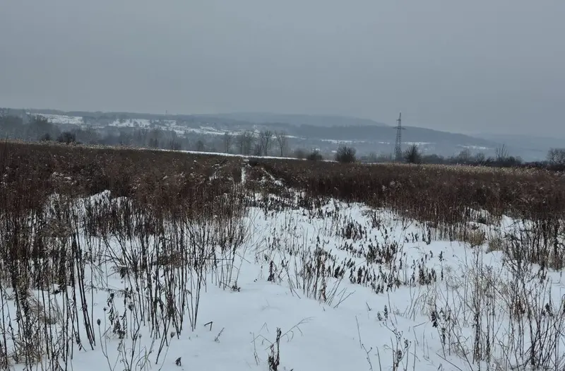 С/Х — лот №1266420