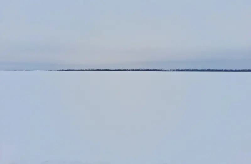 С/Х — лот №1266428