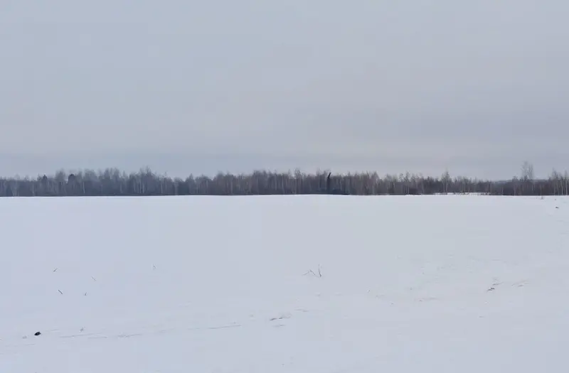 С/Х — лот №1266447