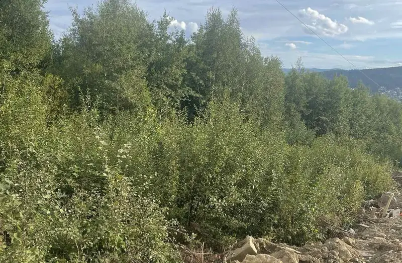 Комерція — лот №1266688