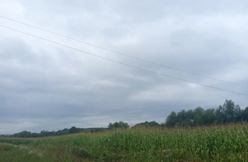 С/Х — лот №1266887