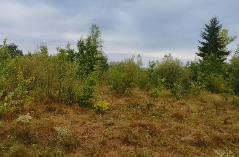 С/Х — лот №1266894
