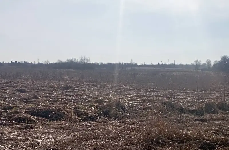 С/Х — лот №1266815