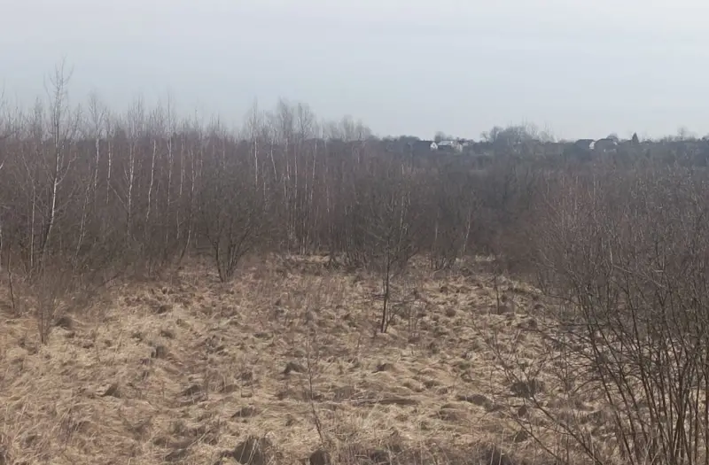 С/Х — лот №1266824