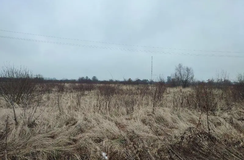 С/Х — лот №1266875