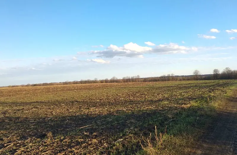 С/Х — лот №1267140