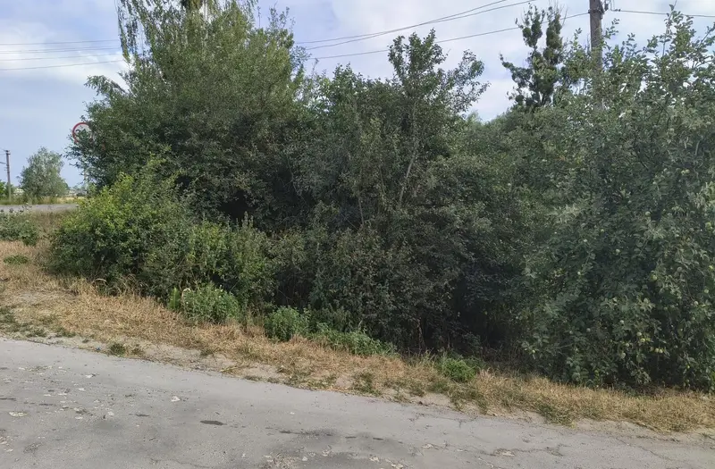 Комерція — лот №1267372