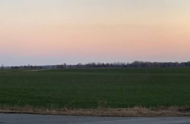 С/Х — лот №1267281