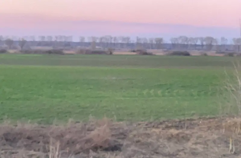 С/Х — лот №1267283