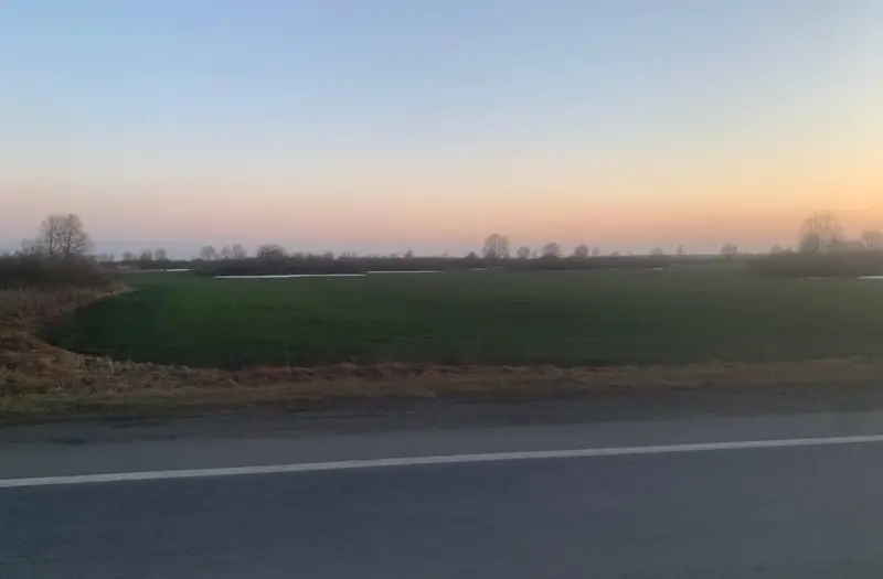 С/Х — лот №1267284