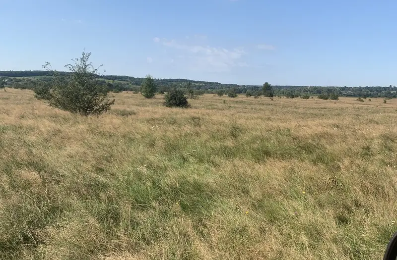С/Х — лот №1267632