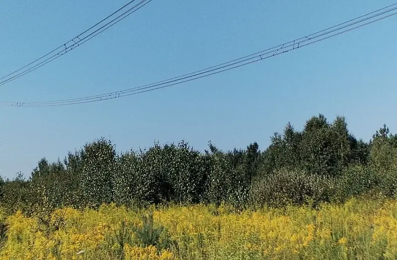 С/Х — лот №1267866