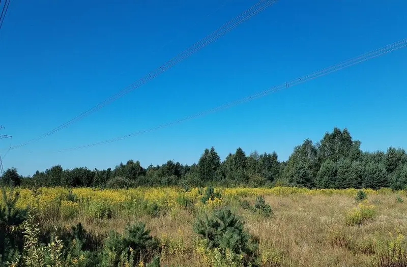 С/Х — лот №1267897