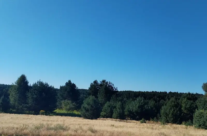 С/Х — лот №1267901