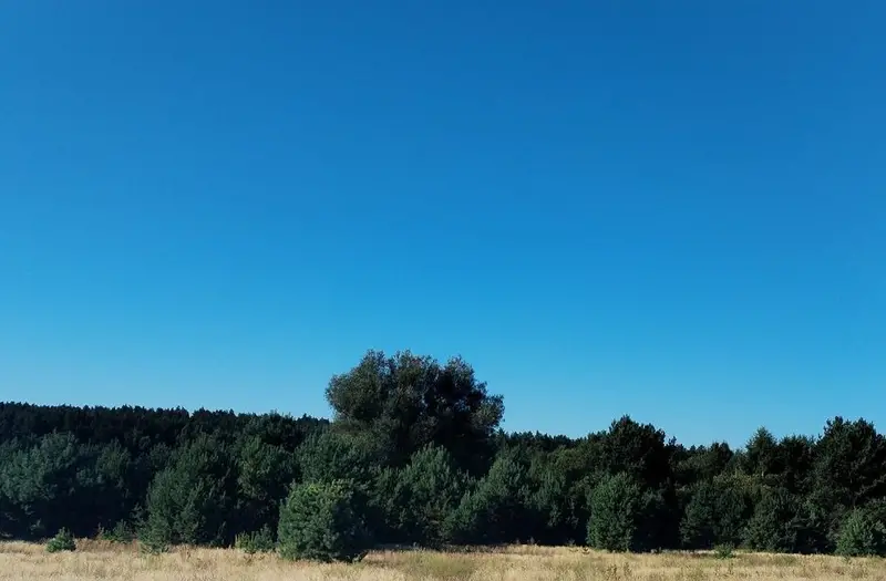 С/Х — лот №1267904