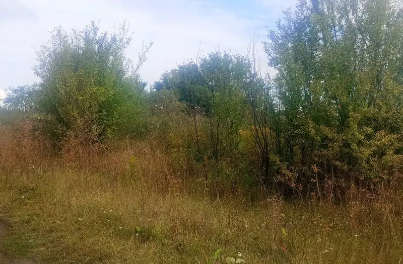 С/Х — лот №1267908