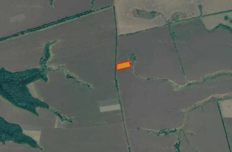 С/Х — лот №1268215