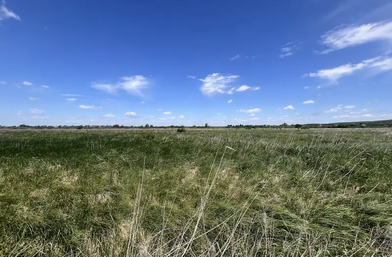 С/Х — лот №1268339