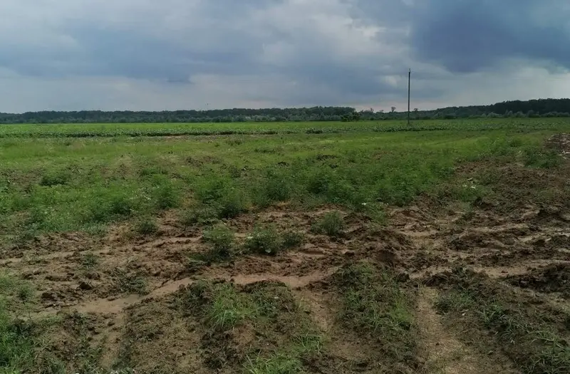 С/Х — лот №1268352
