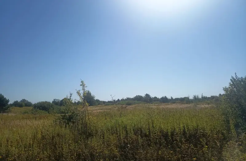 С/Х — лот №1268479