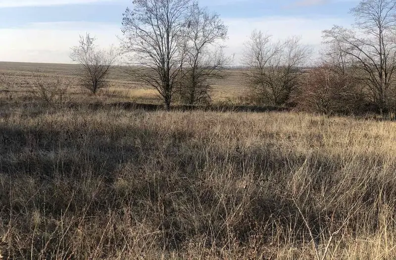 С/Х — лот №1268683