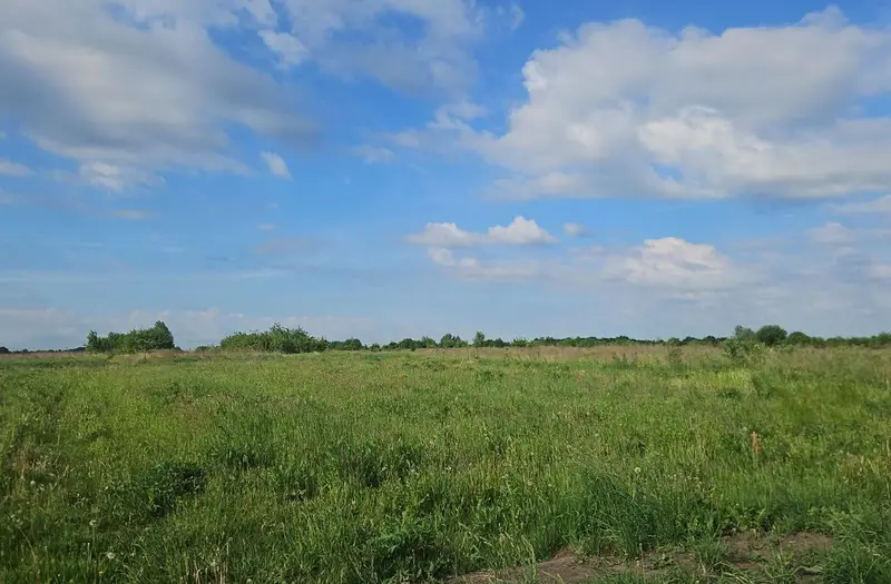 С/Х — лот №1268805