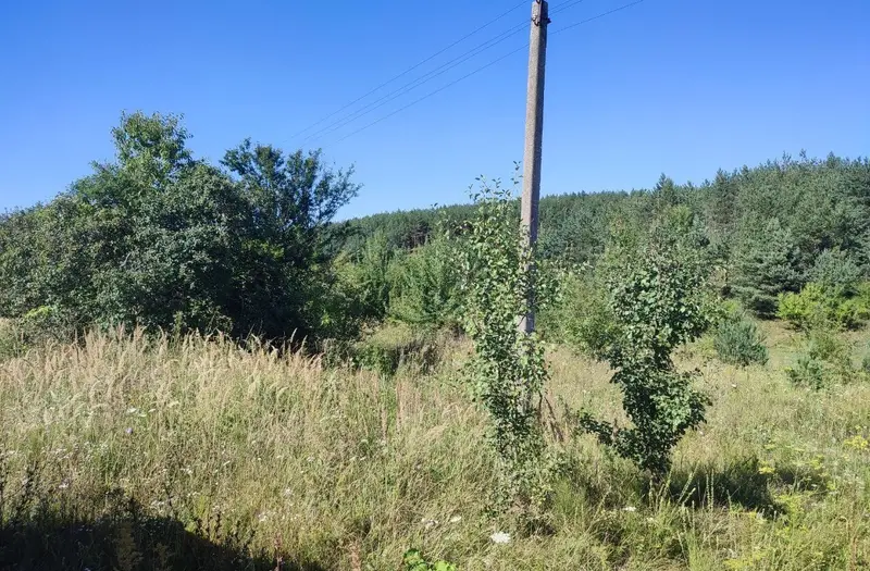 С/Х — лот №1268906