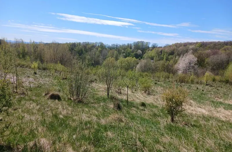 С/Х — лот №1269043