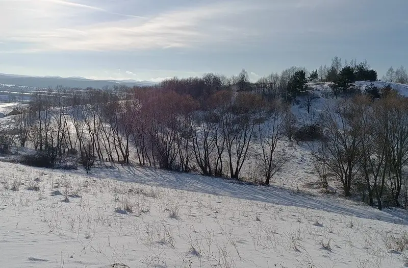 С/Х — лот №1269345