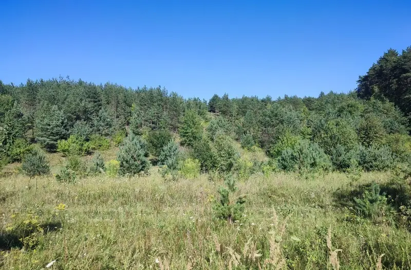 С/Х — лот №1269401