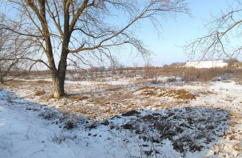 С/Х — лот №1269676