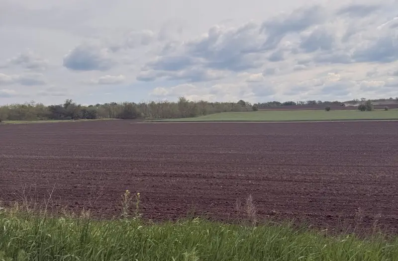 С/Х — лот №1270279