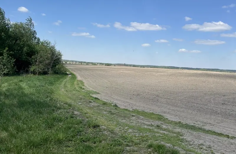 С/Х — лот №1270036