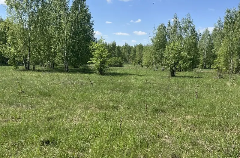 С/Х — лот №1270529