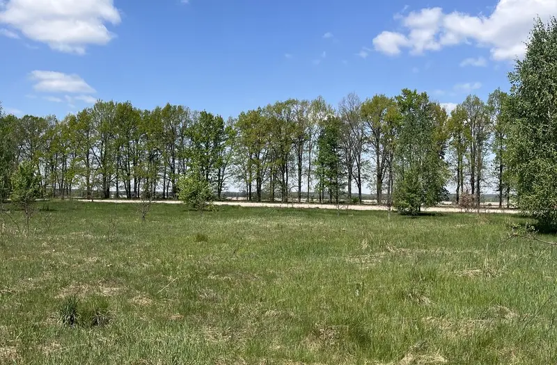С/Х — лот №1270530