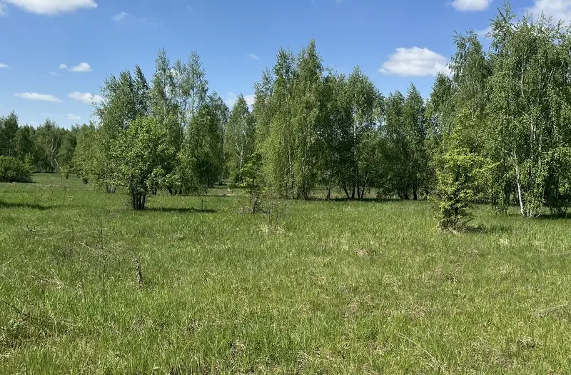 С/Х — лот №1270531