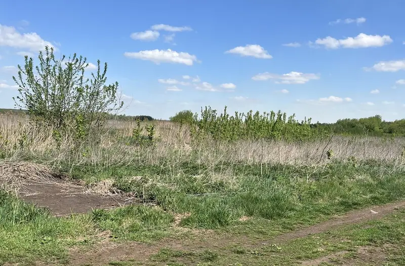 С/Х — лот №1270538