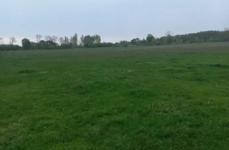С/Х — лот №1270545