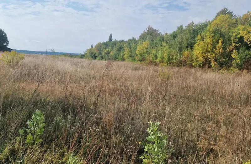 Комерція — лот №1270685