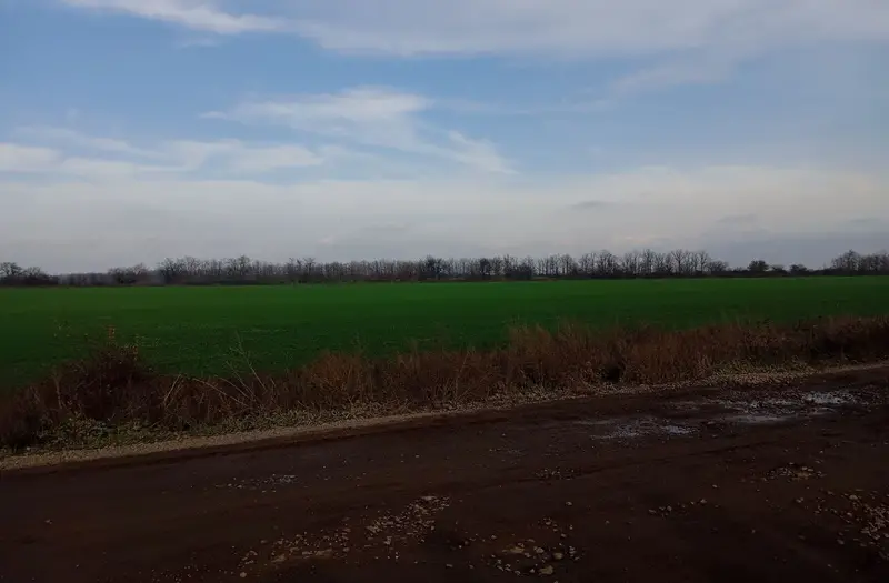 С/Х — лот №1270696