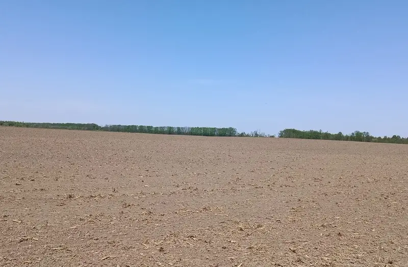 С/Х — лот №1270759