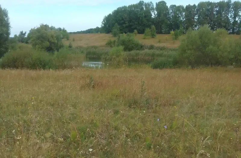 С/Х — лот №1270802