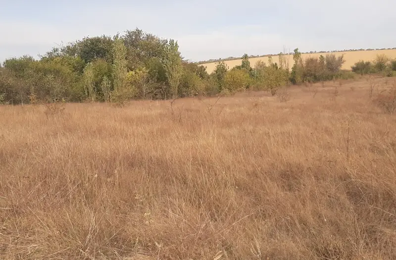 С/Х — лот №1270841