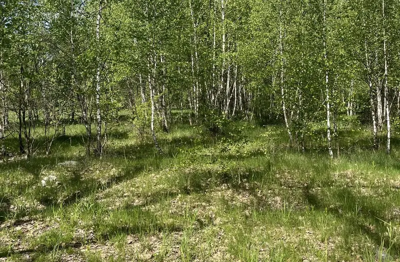 С/Х — лот №1270929